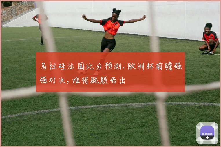 乌拉硅法国比分预测,欧洲杯前瞻强强对决,谁将脱颖而出