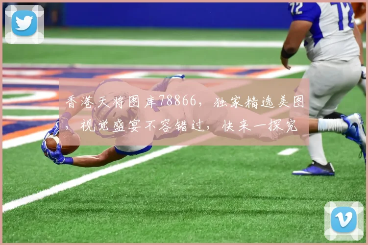 香港天将图库78866，独家精选美图，视觉盛宴不容错过，快来一探究竟